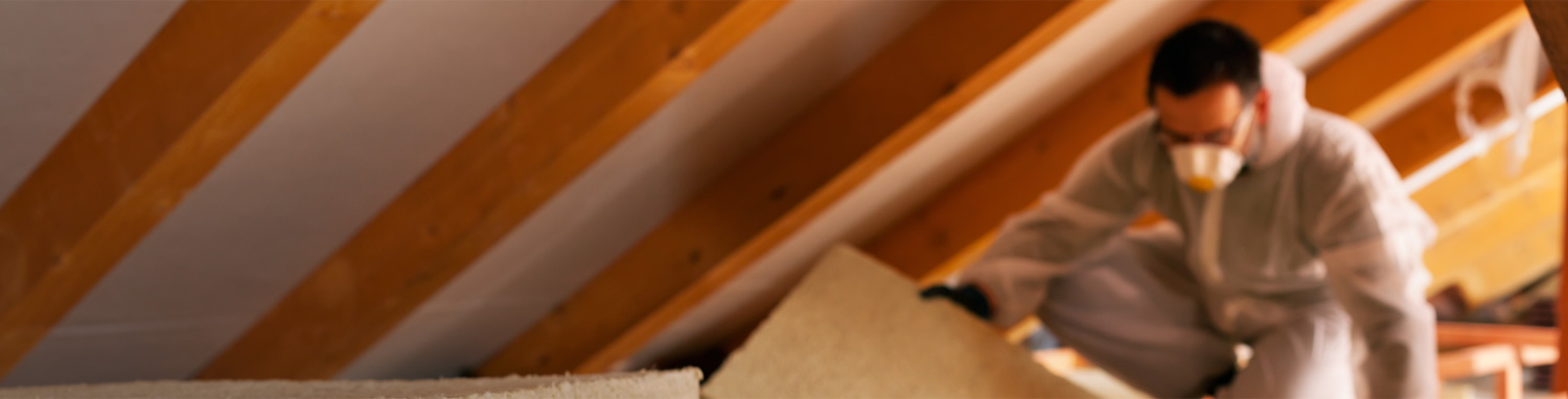 clarks-hero-home-services home service experts, south carolina, local, mold remediation, crawlspace moisture, wood repair, termite control