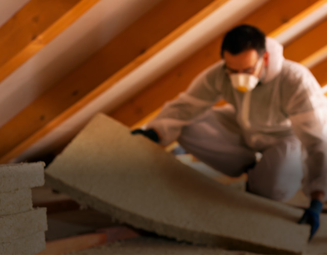 Mold and moisture remediation