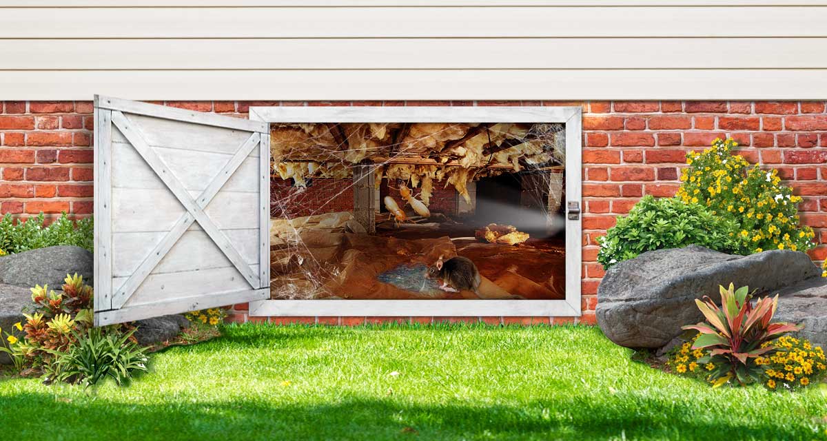crawl space needs service annual termite inspection, crawl space pest control services