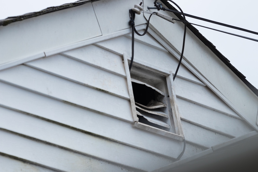 how to keep bats out of the attic