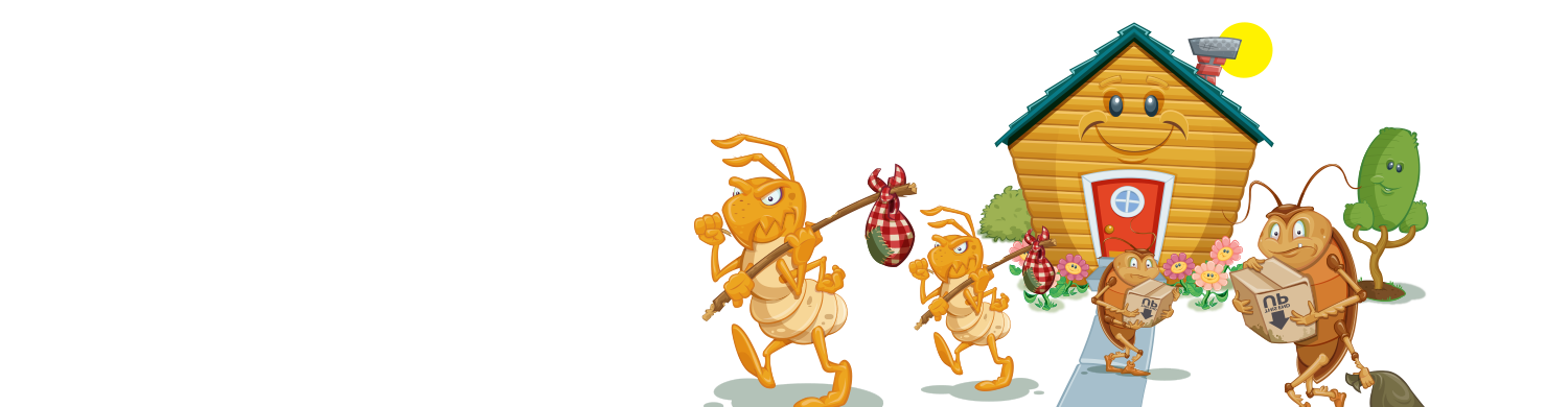 get rid of bugs, get rid of roaches, termite control