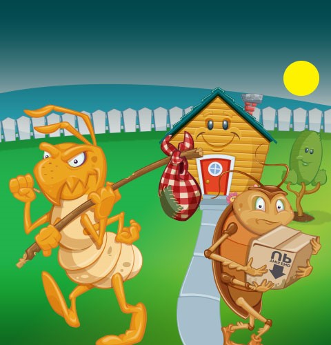 termite removal, roach removal, bug removal