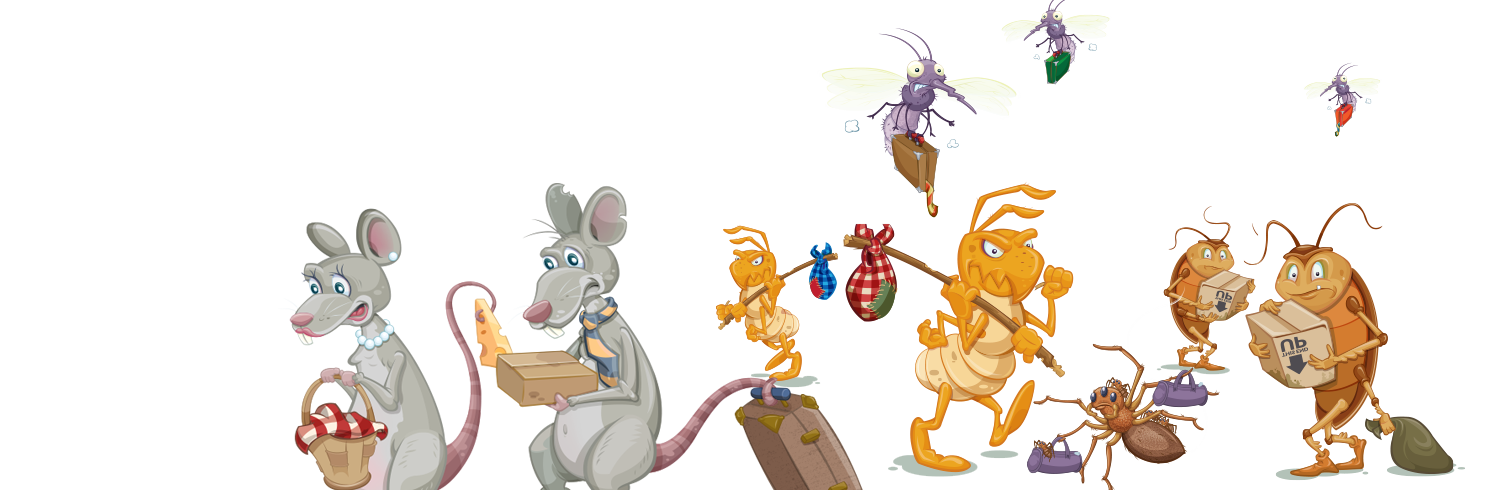 guaranteed pest control plans