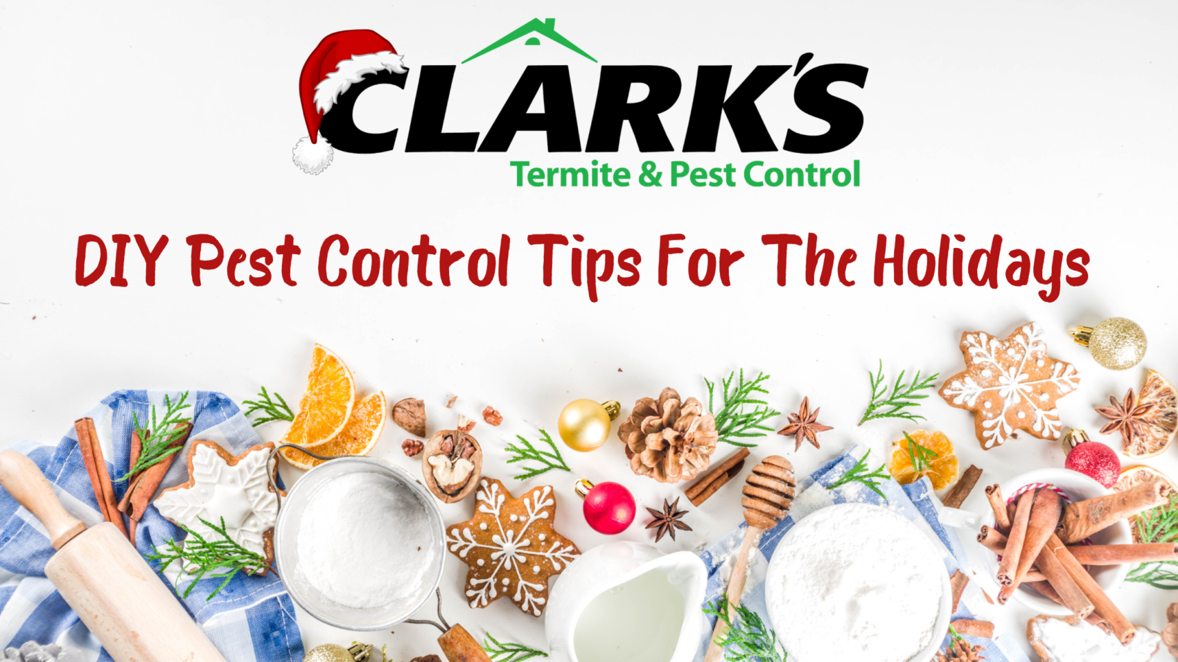 DIY Pest Control Tips For The Holidays Clarks Pest
