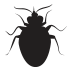 clarks-headline-icon-bedbug