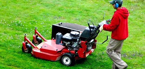 Best landscapers in South Carolina Professional and reliable landscapers and landscaping service in South Carolina