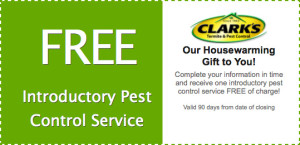 Pest Control Coupon Promo - Clarks Pest