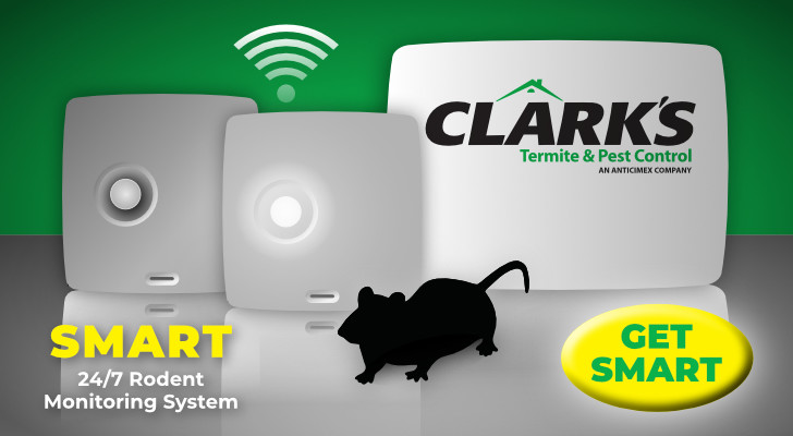 SMART Rodent Control