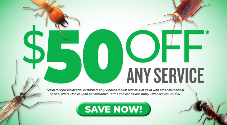 Save 50% off Clark's Pest Control