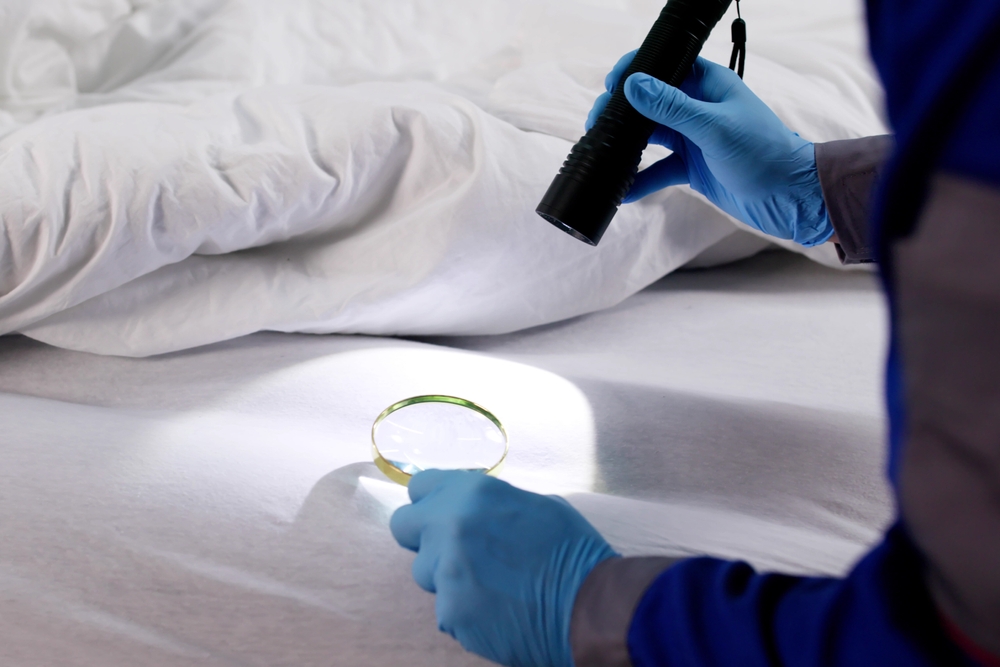 Signs of Bed Bugs in a Hotel Room - Clark's Pest Control