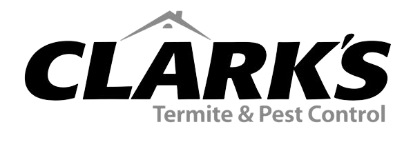 clarks termite and pest control south carolina