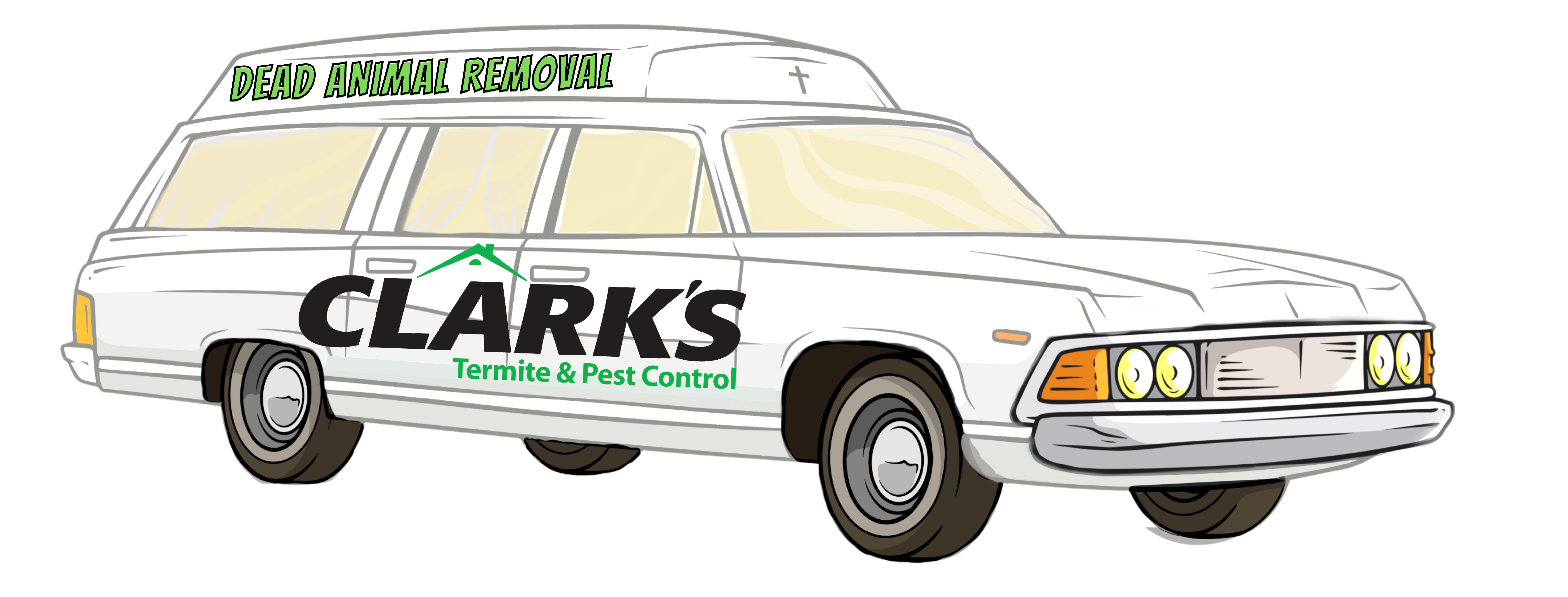 Coastal Wildlife Removal - Animal Removal Specialists