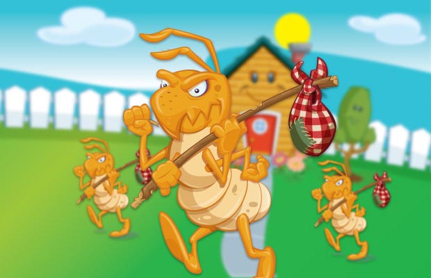 termite treatment near termite treatment