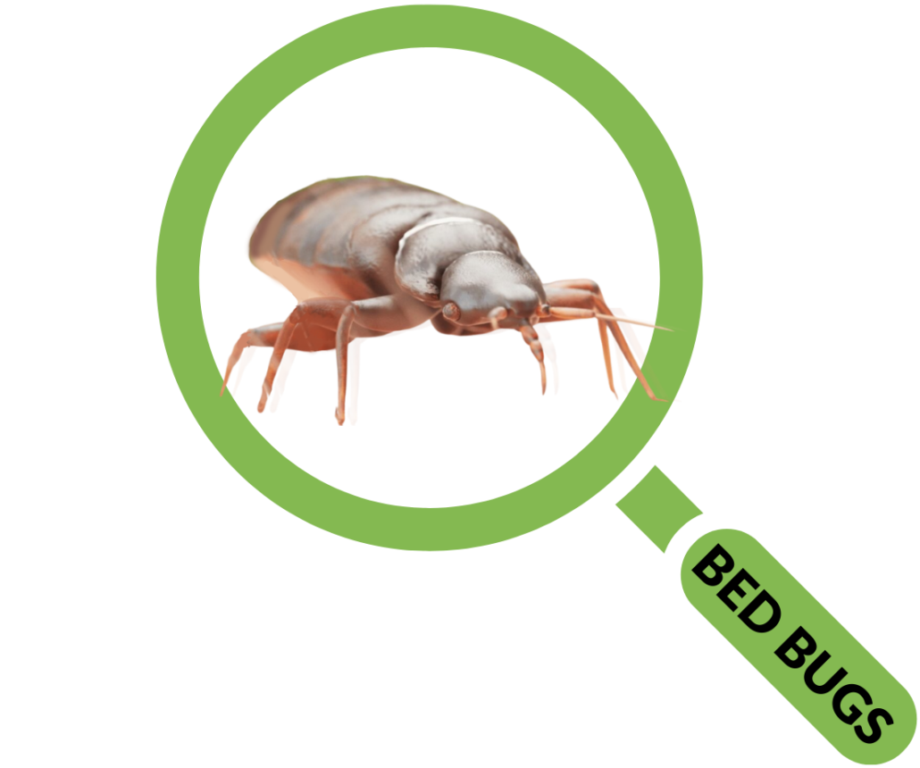 Pest Control Columbia SC Homeowners & Businesses Get Free Quote