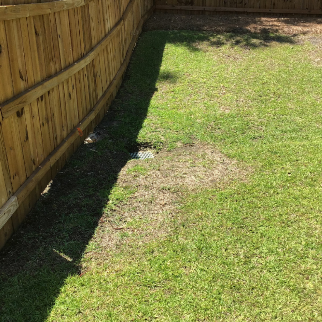 how to stop brown spot fungus lawn fungus treatment
