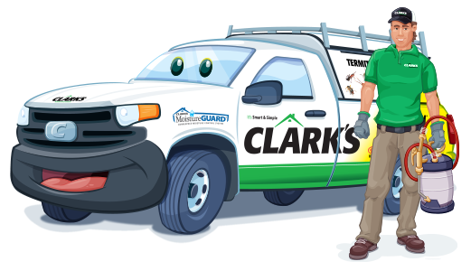 sentricon systems cost treat termites, sentricon bait systems near me