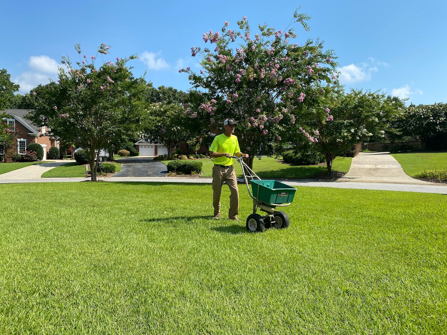 turf care lawn service common lawn issues weeds