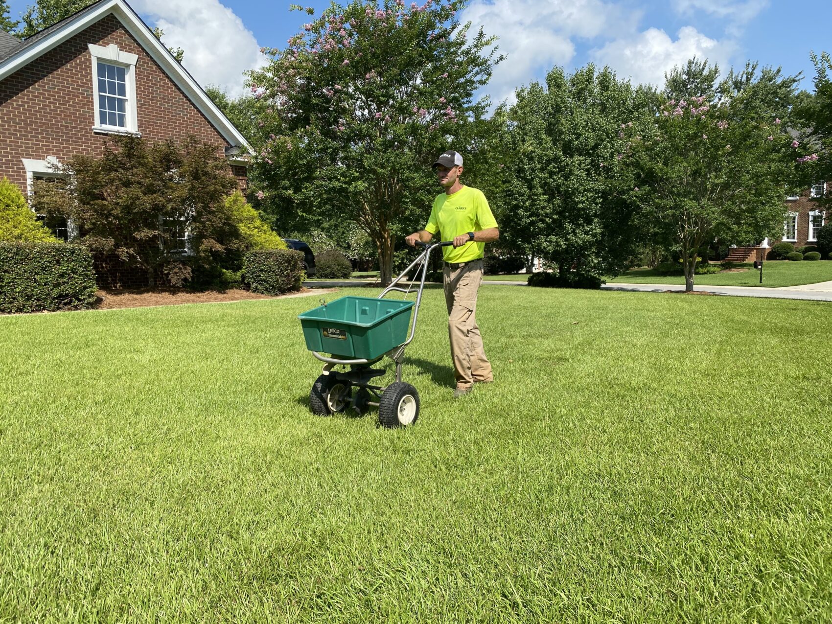 lawn fertilization and weed control
